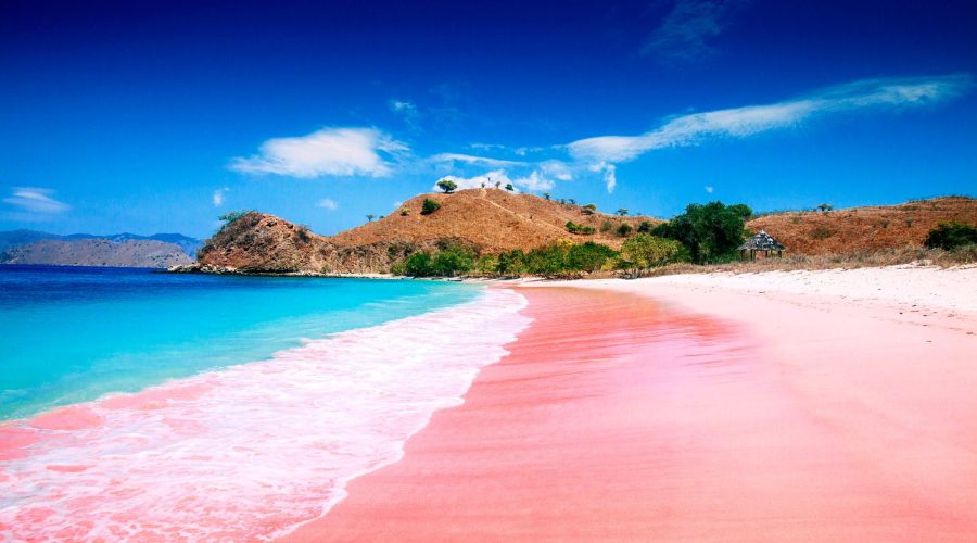 Pantai Pink Lombok