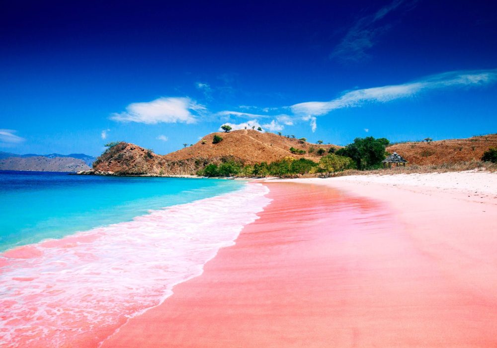 Pantai Pink Lombok